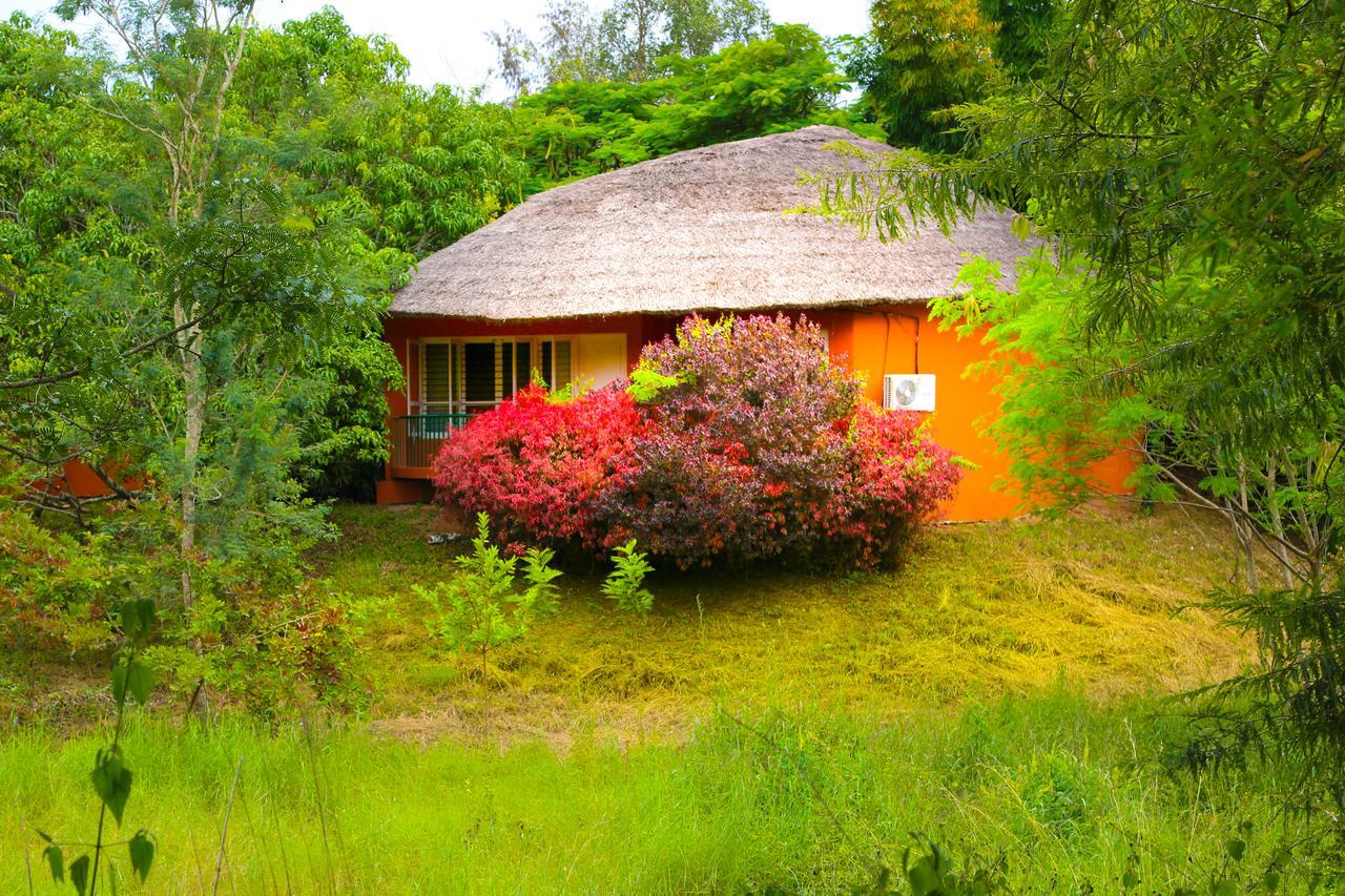Kings Sanctuary Nagarhole & Kabini Hunsur Dış mekan fotoğraf